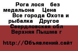 Рога лося , без медальона. › Цена ­ 15 000 - Все города Охота и рыбалка » Другое   . Свердловская обл.,Верхняя Пышма г.